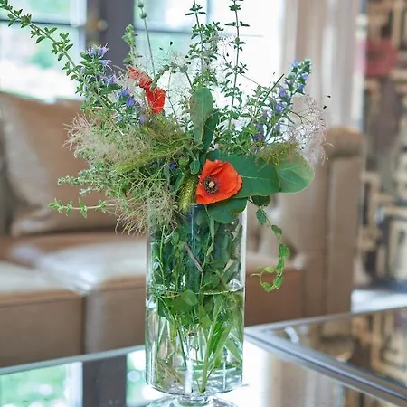 Alle Siepi * Reggio Emilia