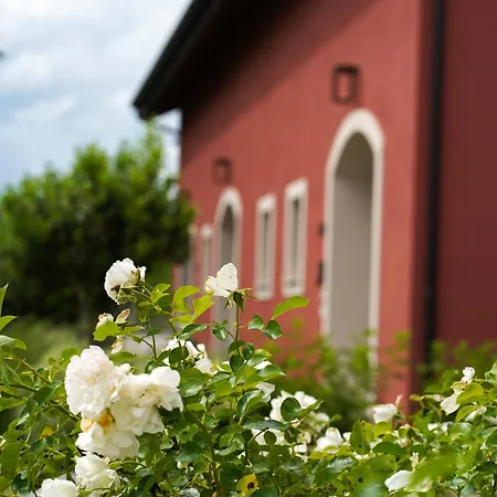 Lantgård Alle Siepi